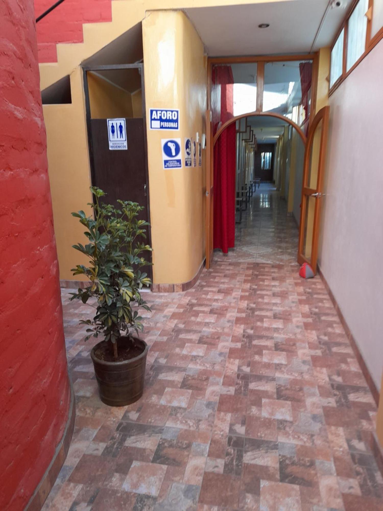 Nasca Trails B&B Nazca Bagian luar foto