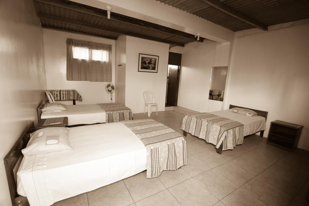 Nasca Trails B&B Nazca Bagian luar foto